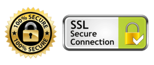 Here's an alt tag for the image: `SSL Secure Connection, 100% secure`